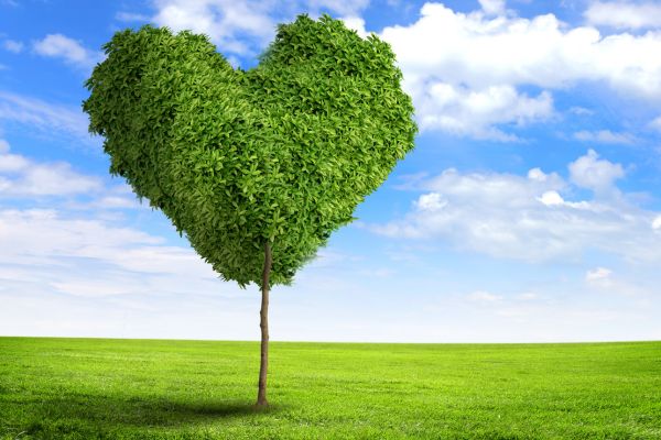 Green Skills Air Quality