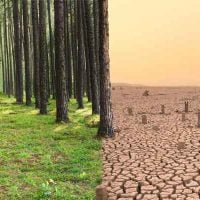 Call for Proposals: Country Directed Fund