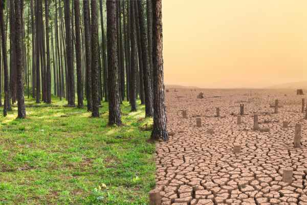 Call for Proposals: Country Directed Fund