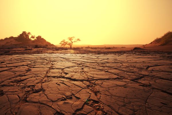 land conservation