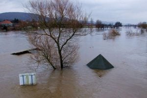 Natural Flood Management Programme – United Kingdom