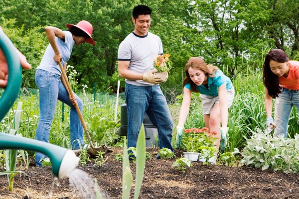 Community Organisation Grants Scheme in New Zealand