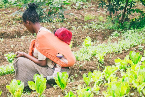 Call for Proposals: Improving Food Security and Resilience in Ethiopia