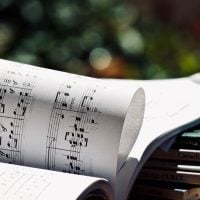 The Mockingbird Foundation Grant Program (Round 29) – United States