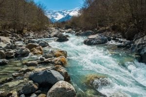 Free Rivers Fund announces Regular Grant