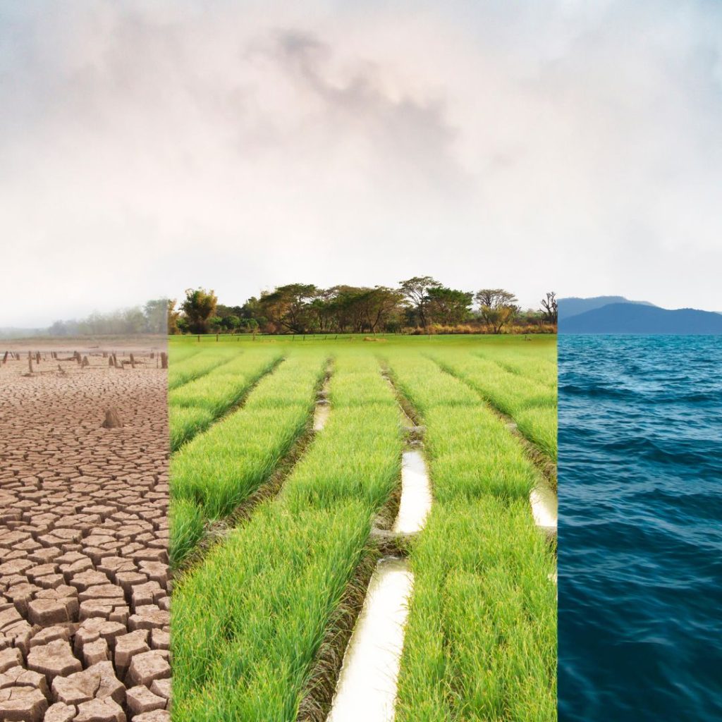 Apply for Karandaaz GreenFin Innovations - Pakistan