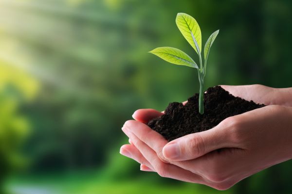 Environmental Foundation of Jamaica Grant Program