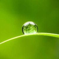 Keidanren Nature Conservation Fund (KNCF) Grant Program 2024