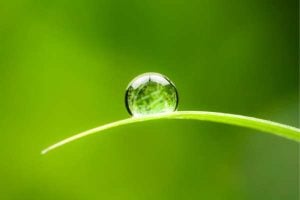 Keidanren Nature Conservation Fund (KNCF) Grant Program 2024