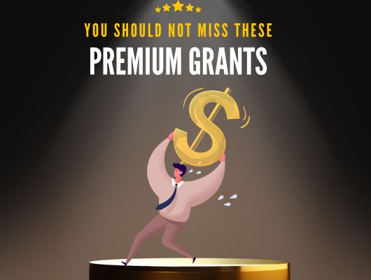 YOU SHOULD NOT MISS THESE AWESOME NEW GRANTS! - fundsforNGOs YOU SHOULD NOT MISS THESE AWESOME NEW GRANTS!