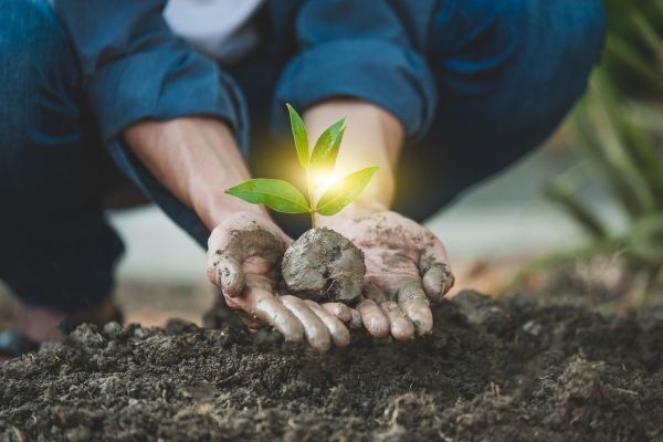 Up to $7,500 available under Environment Grants Program – Australia