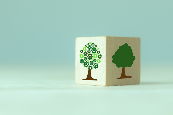 Small-scale Ecosystem Grants Program in Canada