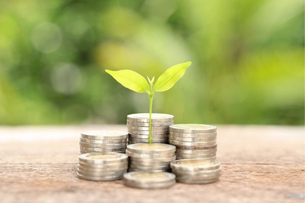 Thrive Philanthrophy launches Seed Grant Program 2025