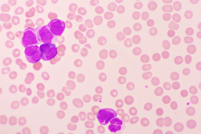 New Investigator Research Grant Program 2024