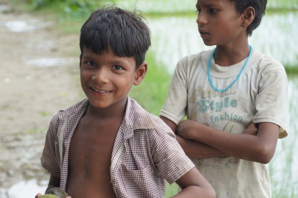 USAID Grants and Partnership Programs for Diverse Sectors in 2024