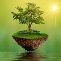 Apache Corporation Tree Grant Program – US and UK