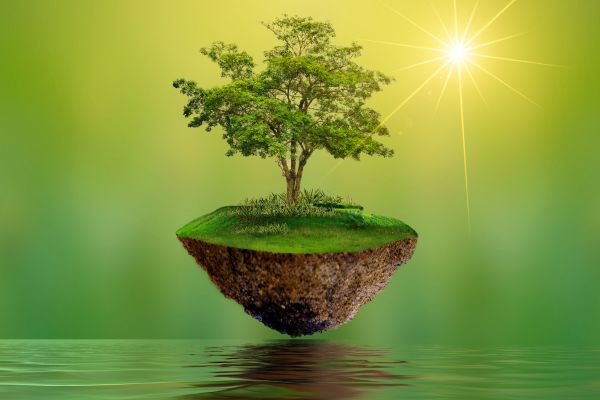 Apache Corporation Tree Grant Program – US and UK