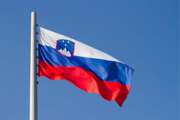 NGO Small Grants Program (Slovenia)