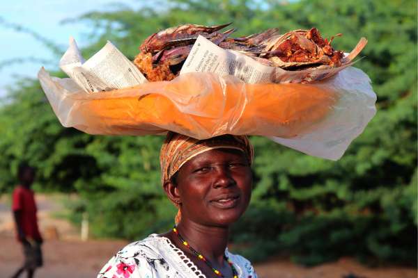 Canada Fund for Local Initiatives – Gambia, Guinea, Guinea-Bissau (2024)