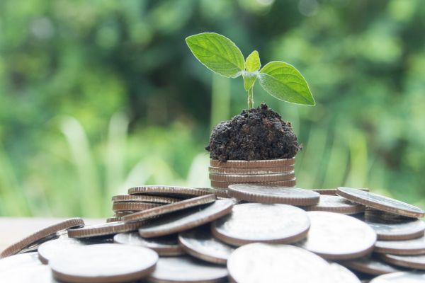 Climate Change and Human Health Seed Grants Program in US and Canada