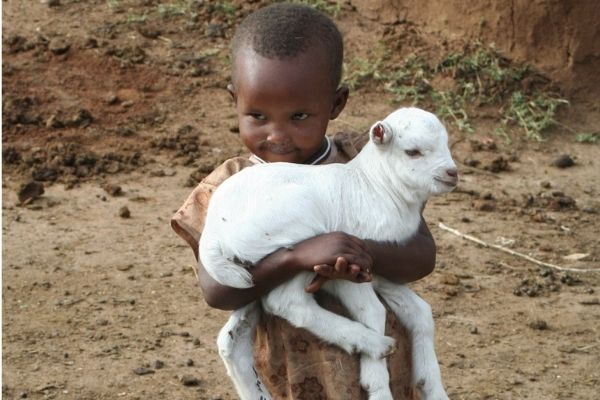 Call for Proposals: Support for Alternative Livelihoods & School Feeding Programmes in Zambia