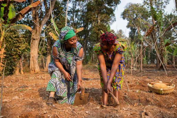 P4G Call for Partnerships working on Climate Mitigation & Adaptation Solutions