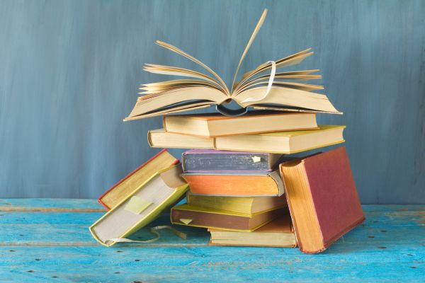 Notice of Funding Opportunity: Spotlight on Humanities in Higher Education (US)