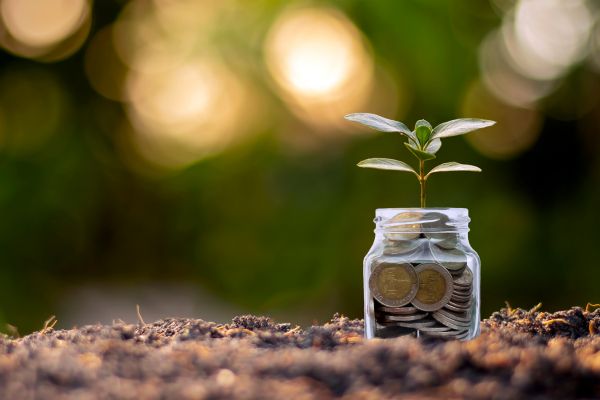 Japan America Society/Japan Society Capacity Building Grant Program ($30,000)