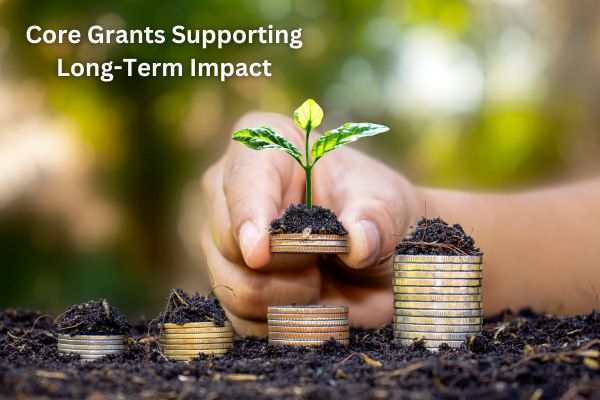 Core Grants for NGOs and Individuals Committed to Social Impact: Apply Now!