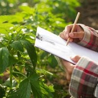 Call for Funding Proposals: Social Solutions for Sustainable Agri-Food Systems (Denmark)