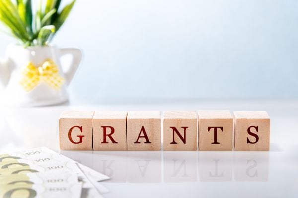 Engagement Award: Capacity Building Funding Program (United States)