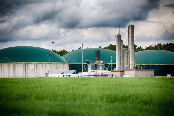 Call for Applications: Developing a National Implementation Strategy for Methane Reduction in Kenya's Livestock Subsector
