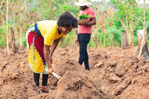 Young Environmentalist Innovative Challenge - Kenya