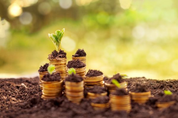 NPS Chesapeake Gateways Tourism and Economic Development Grants - US