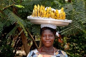 Call for Proposals from NGOs for Livelihood support in Ghana