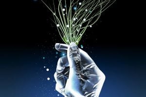 Call for Collaborative Research Proposals