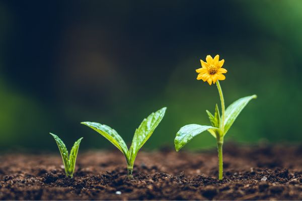 Community Spaces Funding Program in Canada