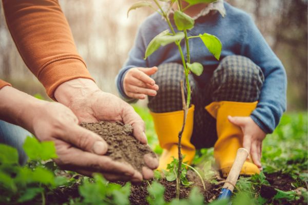 Expressions of Interest: Funding for Climate & Environmental Justice Program