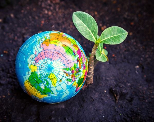 Apply Now: Opening up the Environment Grant Program 2025 (United Kingdom)