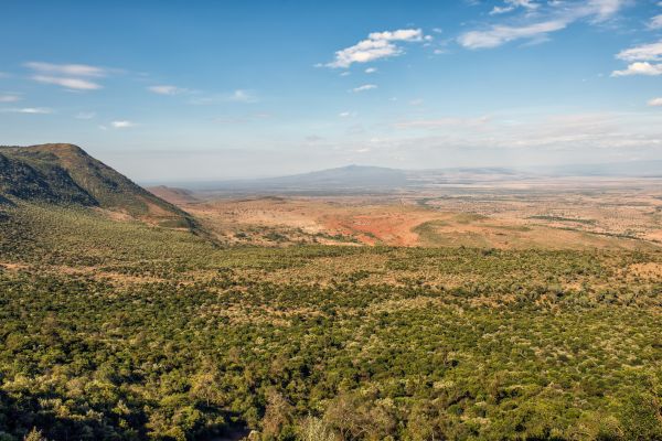 Landscape Scale Restoration Grant Program in Northeast and Midwest – US