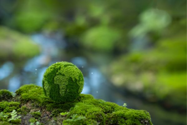 CFPs: Rethinking Urban Spaces towards Climate Neutrality
