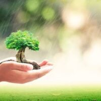 PCP4NbS Special Fund for Nature-based Solutions: Thematic Grants (Philippines)