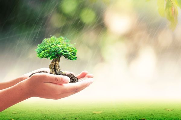PCP4NbS Special Fund for Nature-based Solutions: Thematic Grants (Philippines)