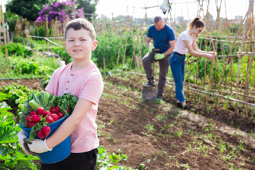 Social Action in Rural Areas: Addressing the Demographic challenge to Stop Depopulation (Spain)