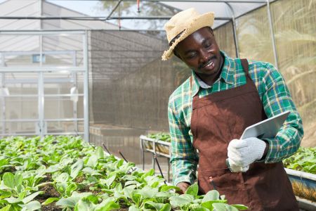 US: Growing Justice Fund for Community-led Initiatives ($25,000 to $250,000)