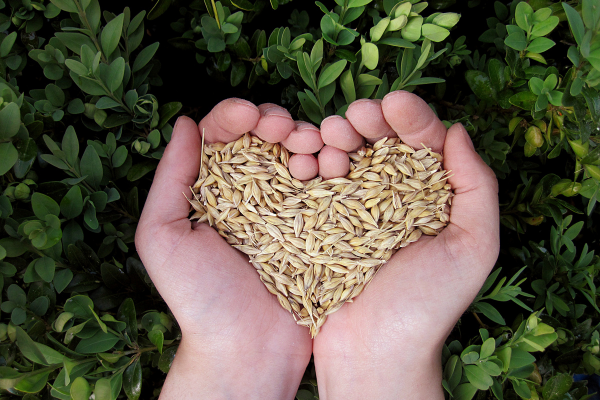 Nominations open for Arrell Global Food Innovation Award 2025