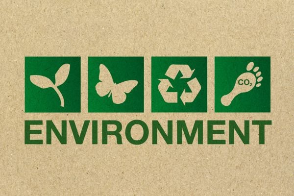 Request for Applications: WBF Move Grants