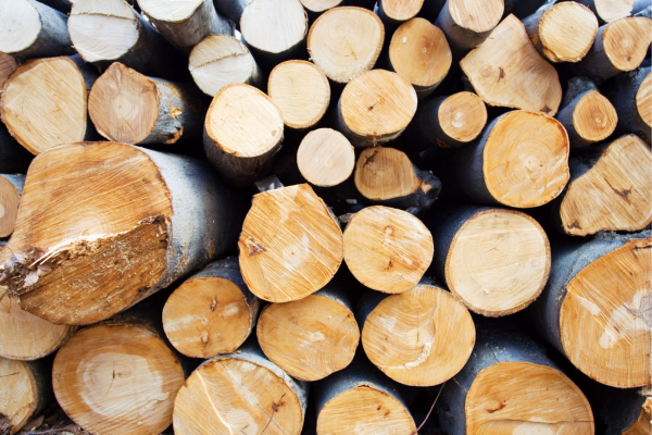 US: Community Wood Energy & Innovation Program – $6M in Awards