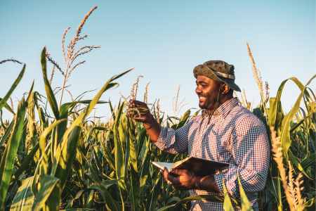 Call for Proposals: Just Rural Transition Support Program 2025 (More than £1,000,000)