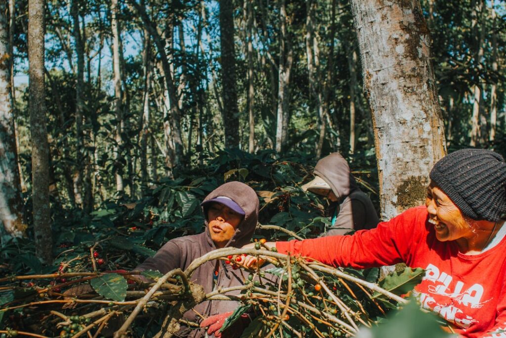 Photo Farmers planting trees